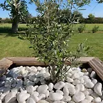 Les Jardins D'oc - Wifi, Terrasse Et Jardinet - T2 Neuf