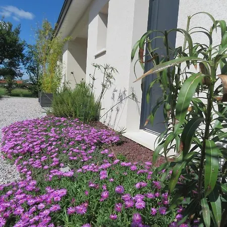 Les Jardins D'oc - Wifi, Terrasse Et Jardinet - T2 Neuf Lejlighed