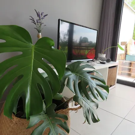 Lejlighed Les Jardins D'oc - Wifi, Terrasse Et Jardinet - T2 Neuf