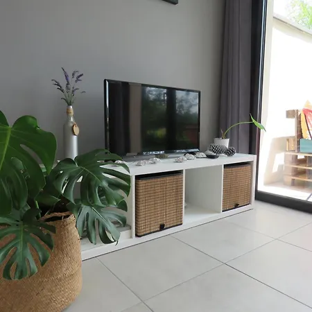 Lejlighed Les Jardins D'oc - Wifi, Terrasse Et Jardinet - T2 Neuf Soual