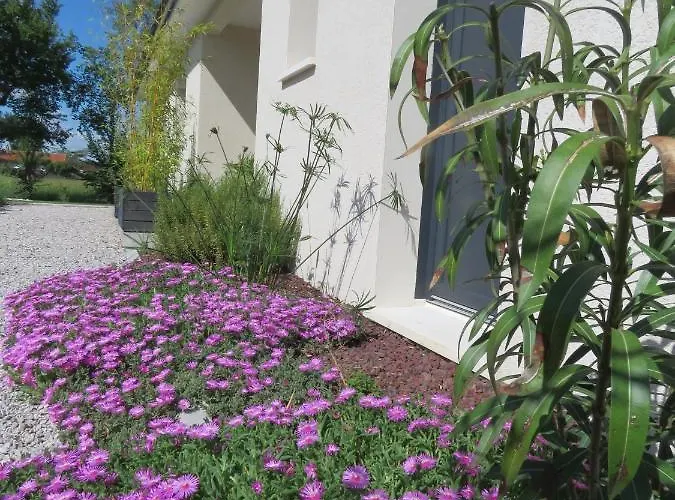 Les Jardins D'oc - Wifi, Terrasse Et Jardinet - T2 Neuf Lejlighed