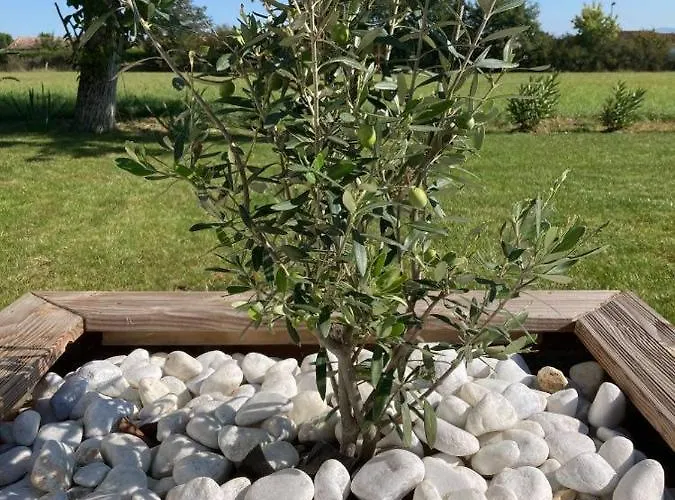 Les Jardins D'oc - Wifi, Terrasse Et Jardinet - T2 Neuf