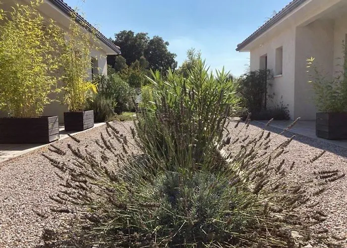 Les Jardins D'oc - Wifi, Terrasse Et Jardinet - T2 Neuf Lejlighed *