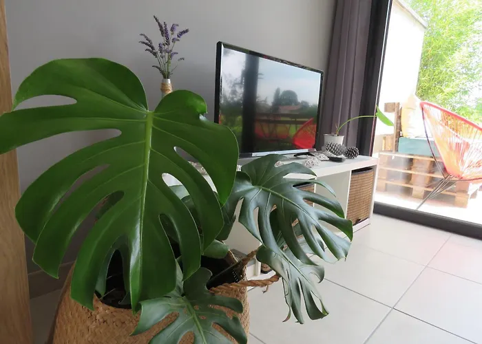 Lejlighed Les Jardins D'oc - Wifi, Terrasse Et Jardinet - T2 Neuf