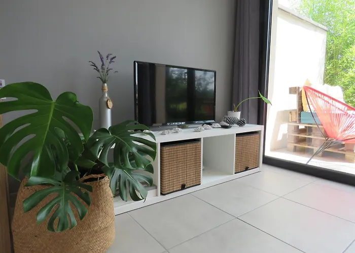 Lejlighed Les Jardins D'oc - Wifi, Terrasse Et Jardinet - T2 Neuf Soual